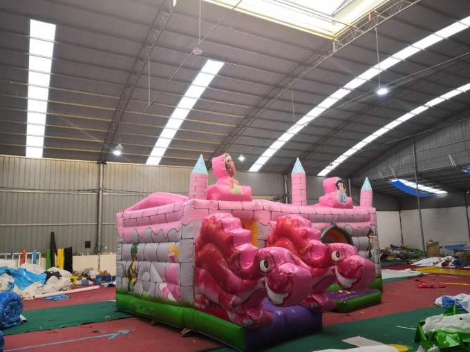 Chambres gonflables de saut de Chambre/arrière-cour de rebond d'enfants roses de dragon pour des enfants